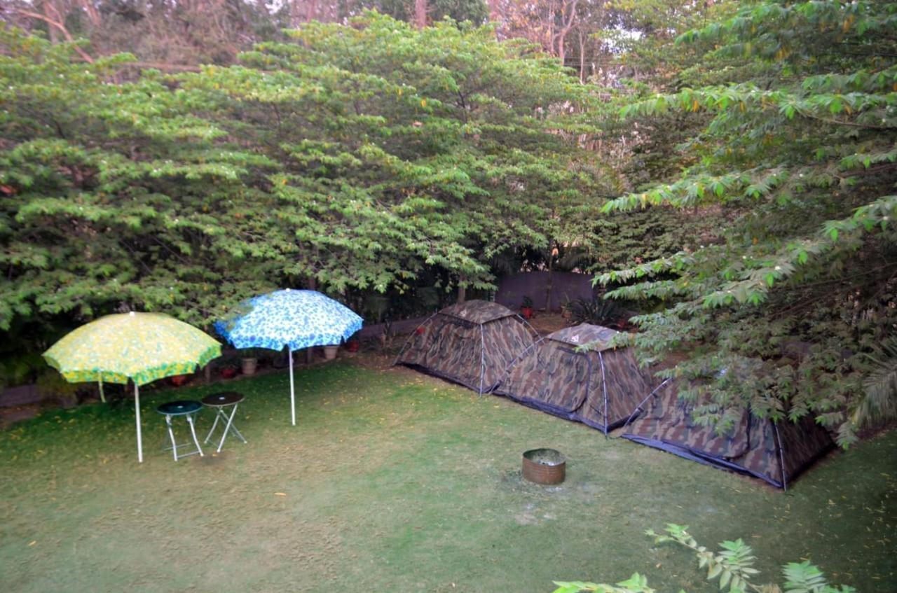 Dandeli Jungle Resort Dış mekan fotoğraf