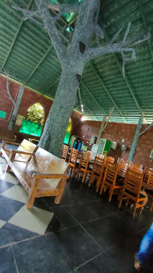 Dandeli Jungle Resort Dış mekan fotoğraf