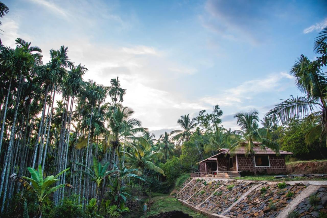 Dandeli Jungle Resort Dış mekan fotoğraf
