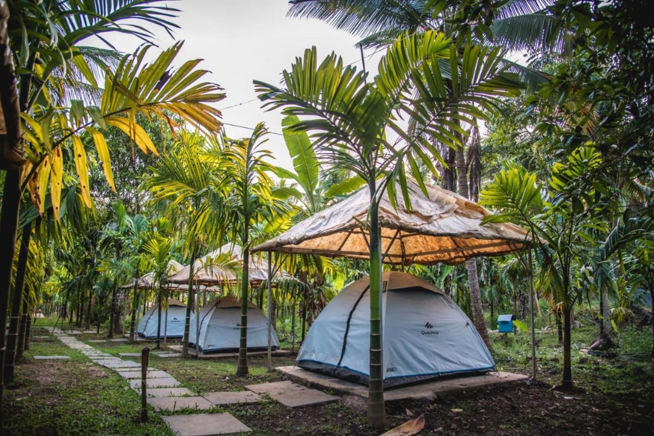Dandeli Jungle Resort Oda fotoğraf